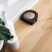 iRobot Roomba S9+